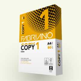 Fabriano Copy 1